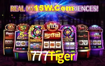 777Tiger Salvador - Statistics