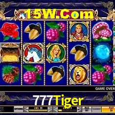777Tiger Belo Horizonte - Jackpots